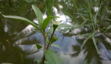 Thông báo về việc thu lệ phí thi tuyển viên chức năm 2018